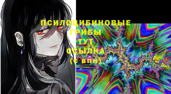 2c-b Абаза