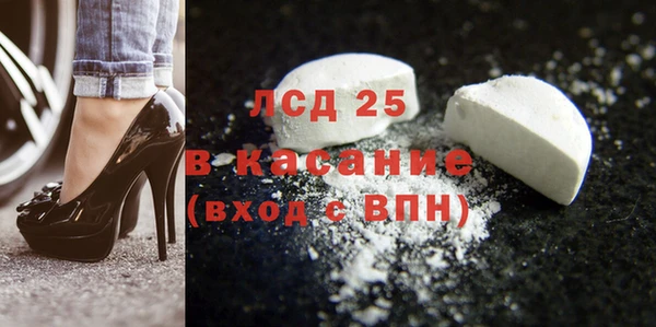 шишки Сатка